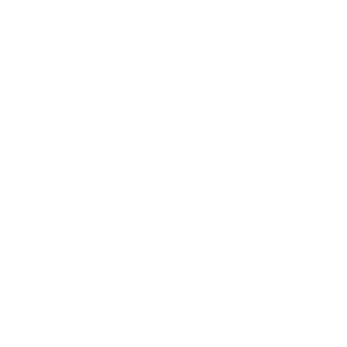 WebWizards Logo